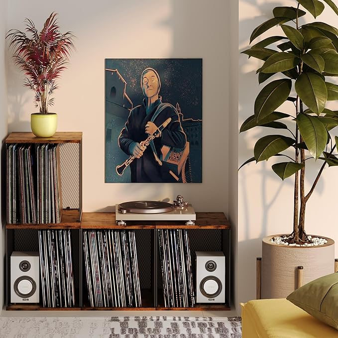 1 Cube Record Holder Vinyl Record Storage Furniture,DIY Stackable 40-55 Records Visualize Record Holder Album Storage Box Cube Wooden Organizer Crate Records Cabinet Record Vinyl Storage